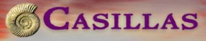 Casillas Energy